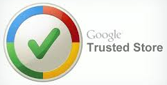 google_-_gts.png